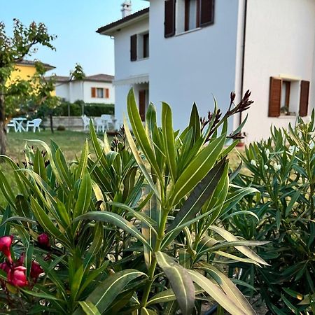 Private Apartment With Garden Cannigione Exteriör bild