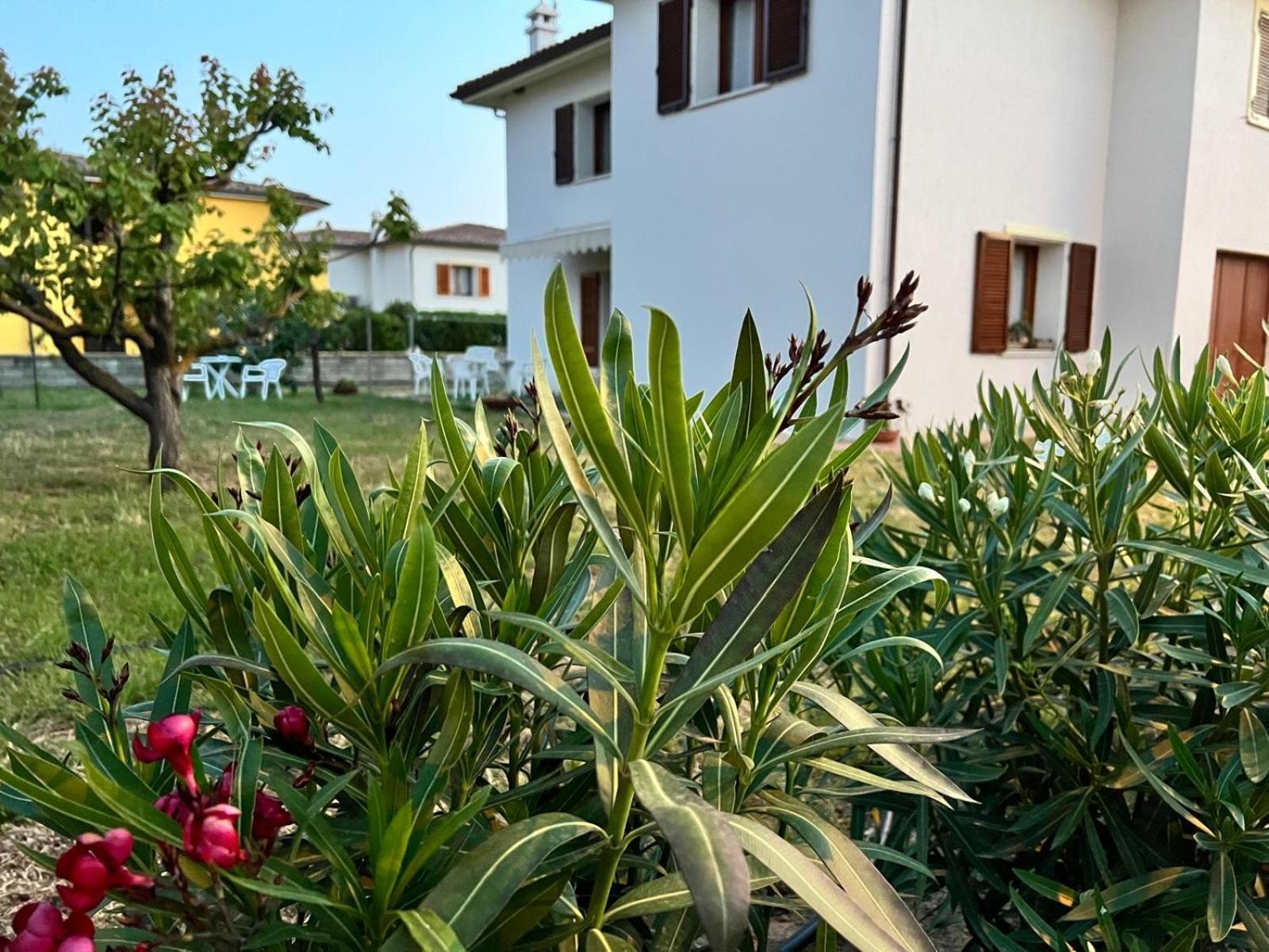 Private Apartment With Garden Cannigione Exteriör bild